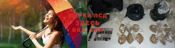 стафф Новодвинск