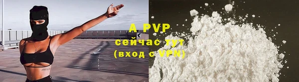 эйфоретик Новокубанск