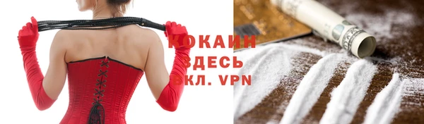 каннабис Новозыбков