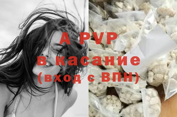 стафф Новодвинск