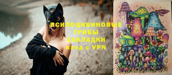 гашик Нефтегорск