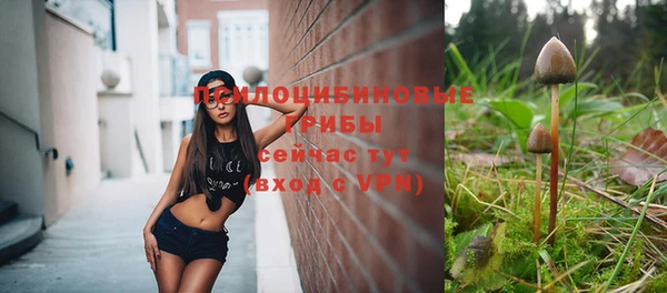 гашик Нефтегорск