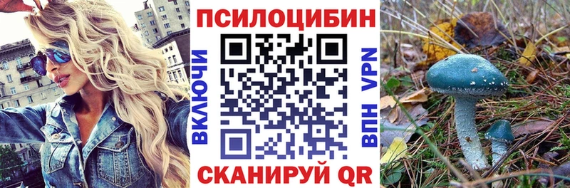продажа наркотиков  Похвистнево  Псилоцибиновые грибы GOLDEN TEACHER 