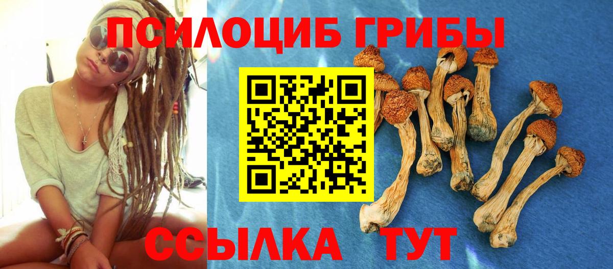 Похвистнево  купить закладку  Вход с VPN  Галлюциногенные грибы прущие грибы 